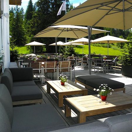 Saanewald Lodge Saanenmöser エクステリア 写真